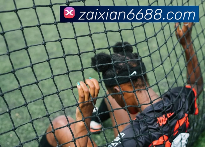 在线6688平台生态图